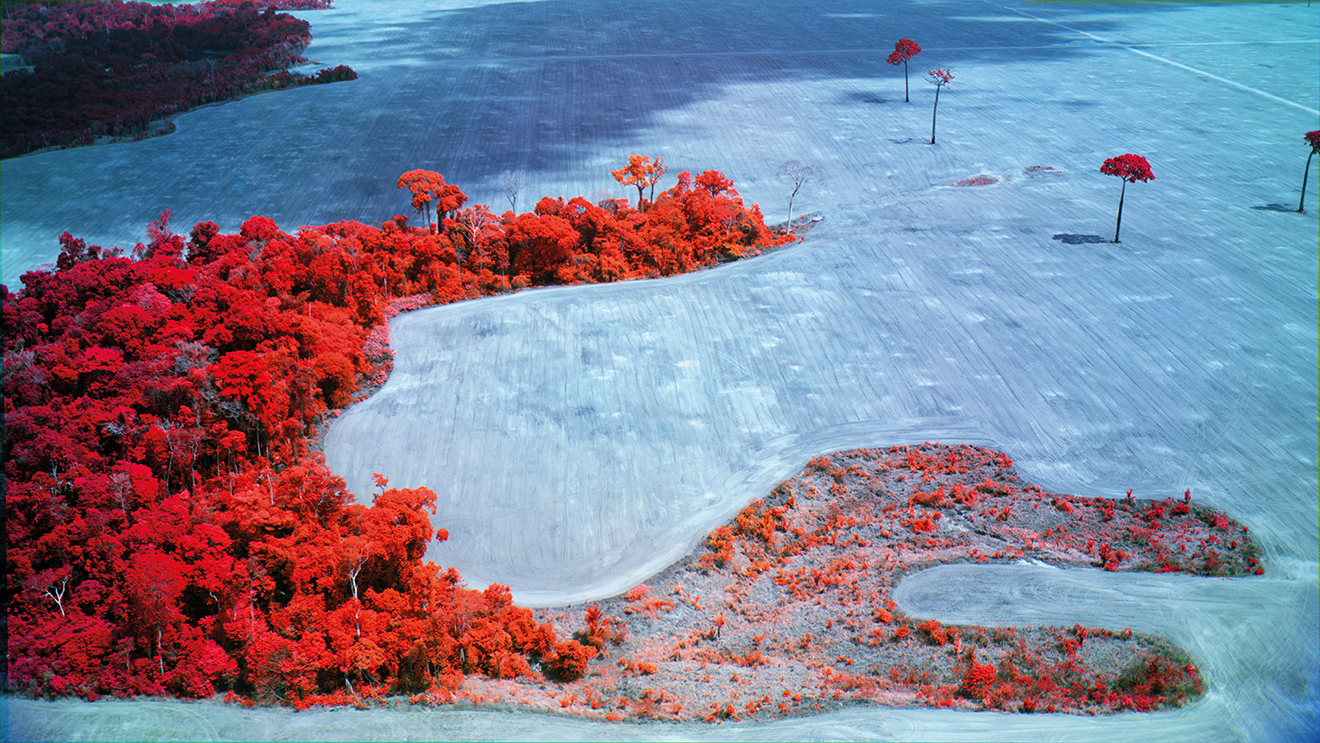 Richard Mosse utilise des caméras thermiques et multispectrales.